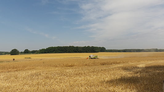 landscape, harvest, field, cornfield, clouds, combine harvester, harvest time