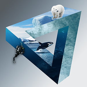 polar bear, divers, wal, orca, icebergs, clouds, deep sea