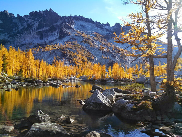 mountain, lake, outdoors, scenery, landscape, nature, larches