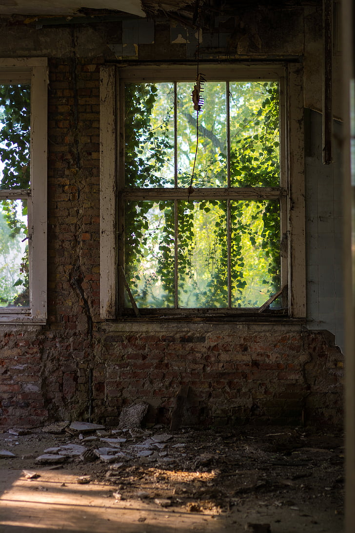 window, overgrown, abandoned, old, ivy, brickwall, lost places