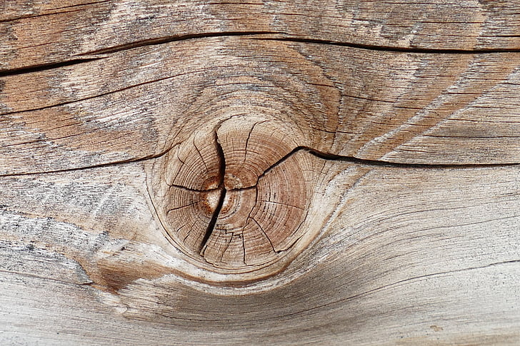 makronaredbe, drvo, grana, struktura, Stari, drvo - materijal, daska