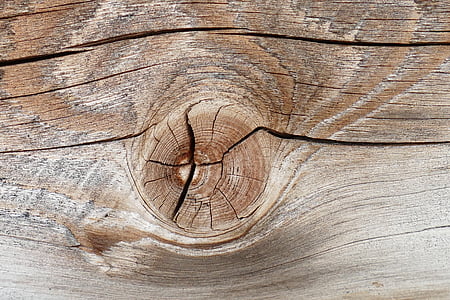 makro, trä, gren, struktur, gamla, trä - material, plankan