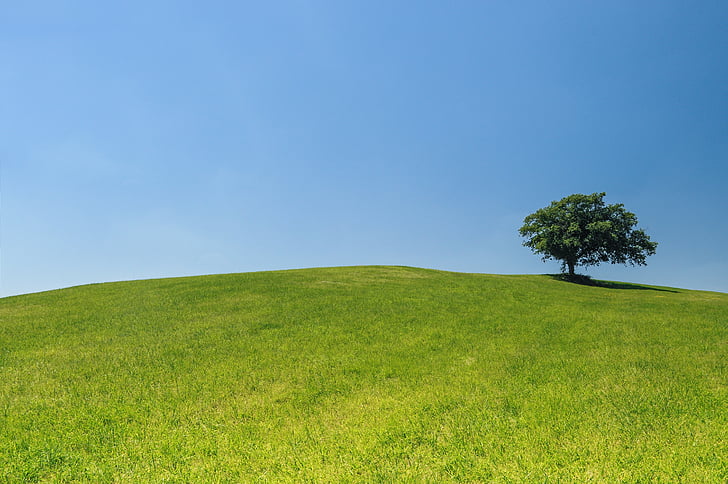 Hill, üksildane, puu, roheline, heinamaa, Välibassein, Horizon