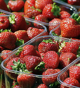 草莓, 水果, 甜点, 吃, 食品, 秋天, 的集合