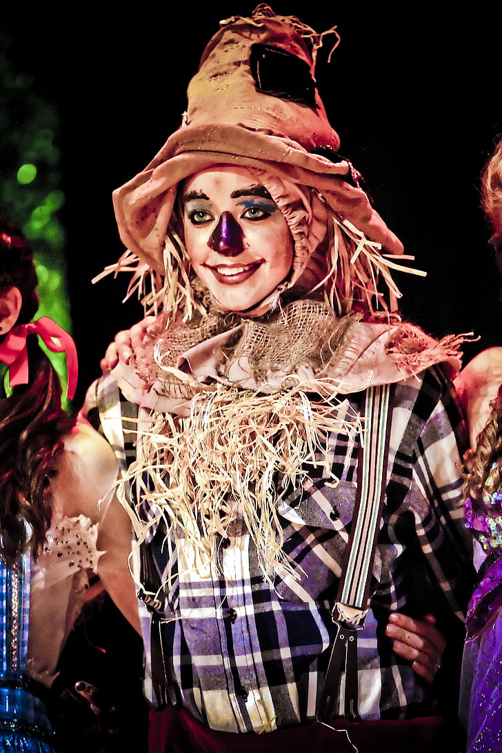 scarecrow, actress, oz, show, hat, makeup, fantasy