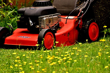 lawn mower, mow, lawn mowing, green, meadow, gardening, grass surface