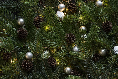 Zelená, Vianoce, strom, Chritsmas, čačky, šiškami, kužele