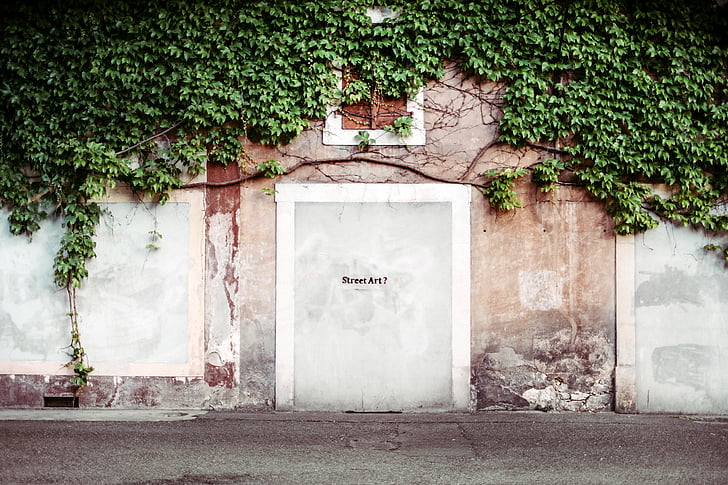 biały, betonu, ściana, drzwi, tekstury, Old street, winorośli