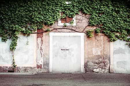 fehér, beton, fal, ajtó, textúra, régi utca, szőlő