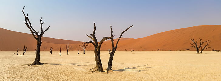África, Namíbia, paisagem, deserto, dunas, dunas de areia, seca