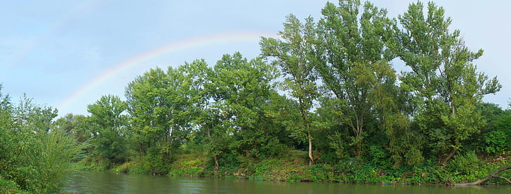arco iris, verde, árboles, Río, naturaleza, al aire libre, agua