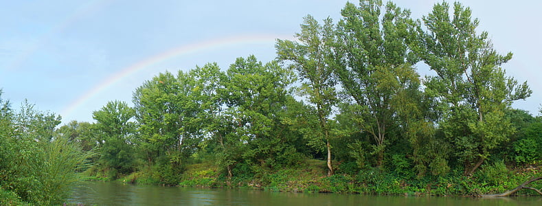 regnbue, grønn, trær, elven, natur, utendørs, vann