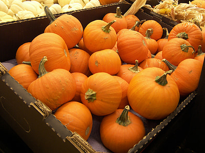 pumpkins, crate, food, vegetables, orange, harvest, organic