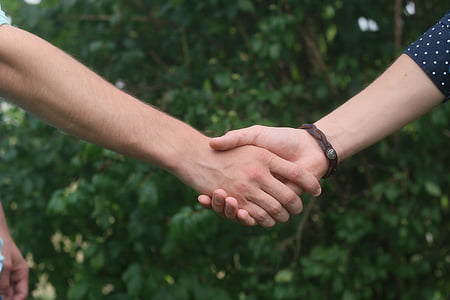 mâinile, strângere de mână, persoană, de sex masculin, încrezător, alb, tineri