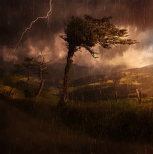 landscape, nature, mountains, reported, forests, tree, thunderstorm
