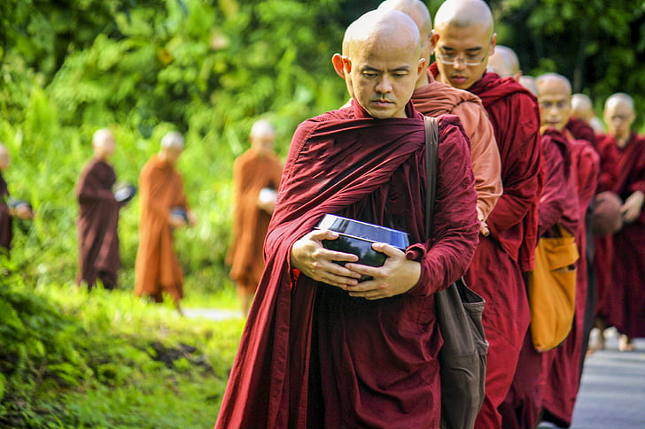 theravada buddhism, theravada monks, saṅgha, religion, monk, religious, piṇḍapāta