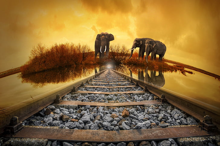 Thailanda, elefant, apus de soare, natura, gleise, vechi, cale ferata