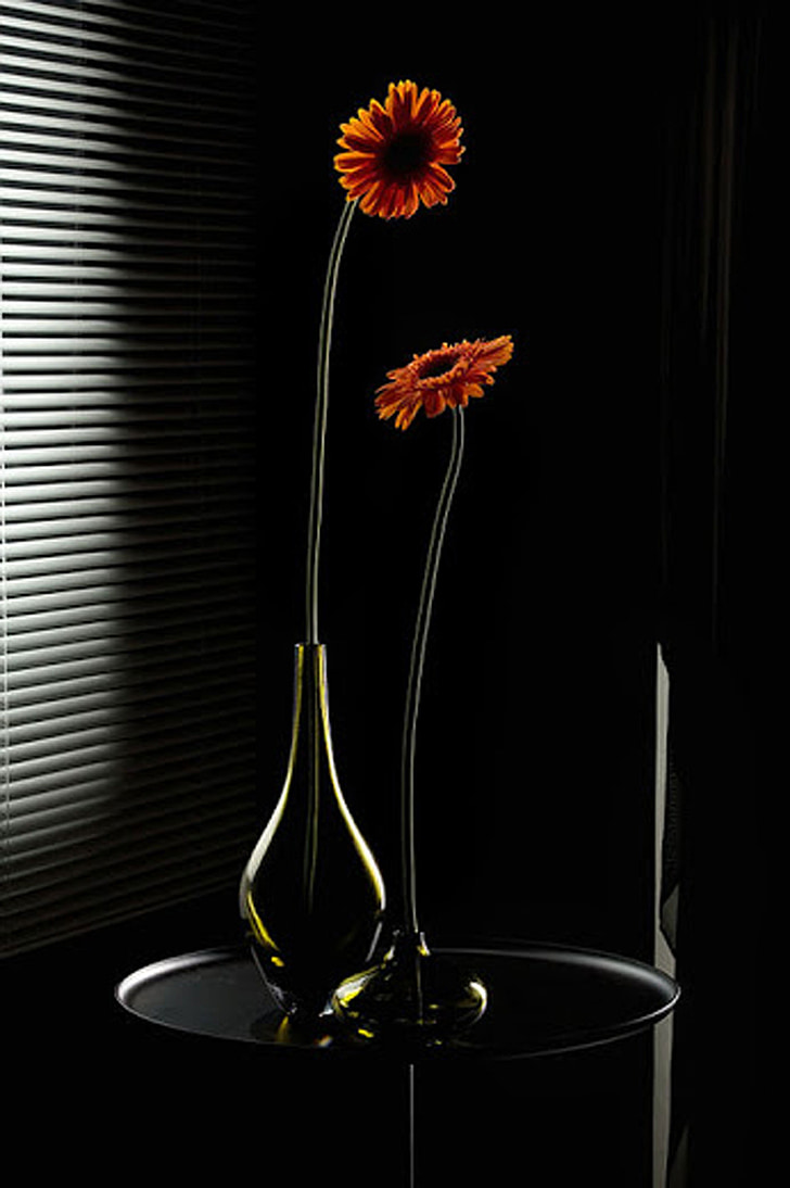 flor, vaso, preto, decoração, Cor, natural