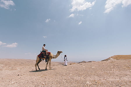 animal, zonas áridas, camello, desierto, paisaje, personas, arena