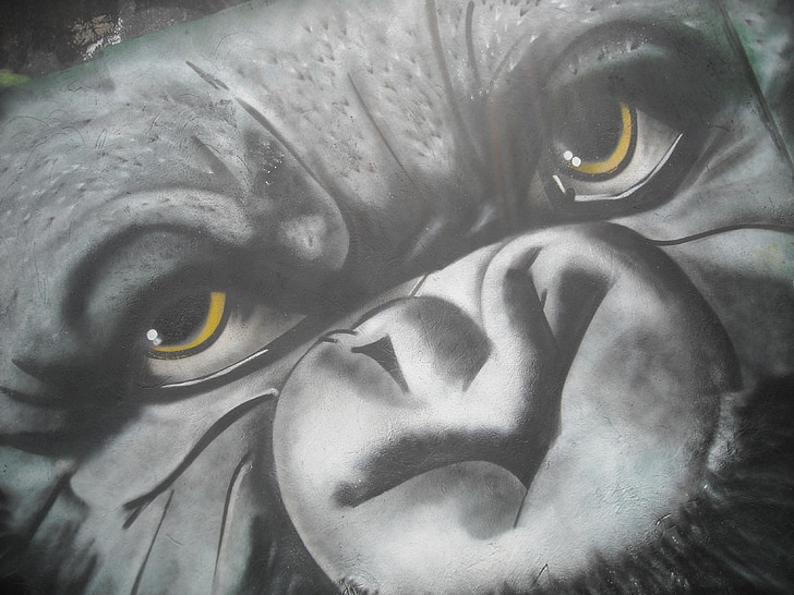Kentsel Sanat, Bogotá, Kolombiya, grafiti