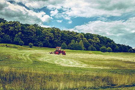 красный, Трактор, Грин, газон, дневное время, транспортное средство, трава