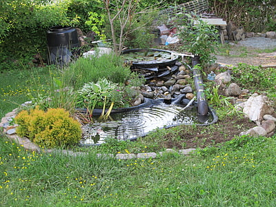 pond, backyard, garden, water, green, nature, yard