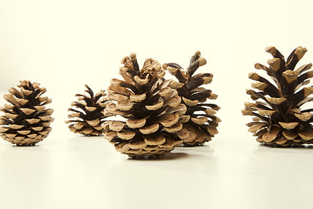 tap, fir, decoration, pine cones, christmas, scale, cone scales
