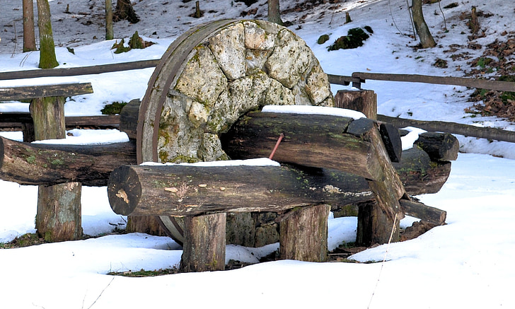 kő, Kalisz pomorski, Park, fa, téli, hó