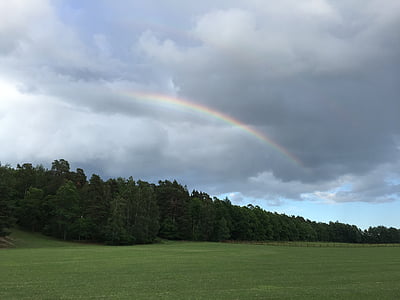 Rainbow, skogen, landskap, Hage, molnet, naturen, gräs