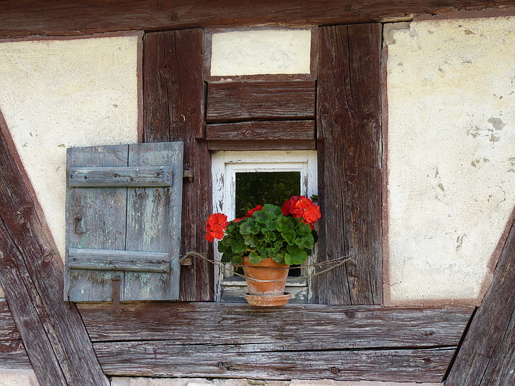 carcassa, finestra, flor, obturador, Museu d'història local, fusta, arquitectura