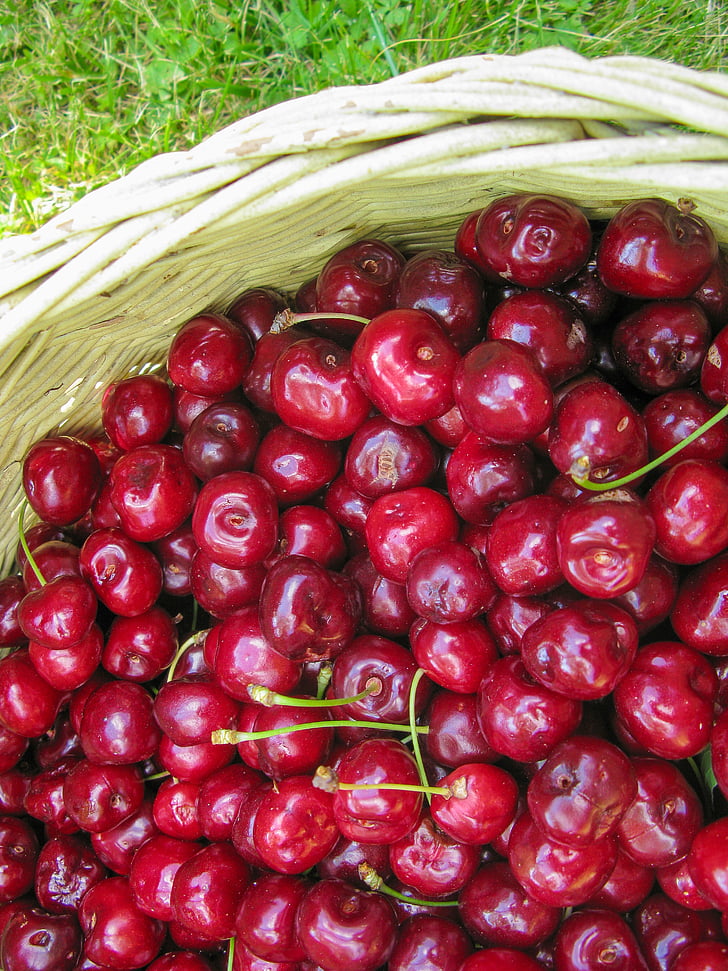 Cherry, sommar, frukt, saftiga, solsken, vitamin, naturen