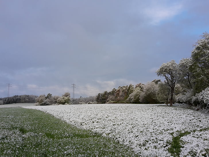 aprila, sneg, narave, travnik, aprila vreme