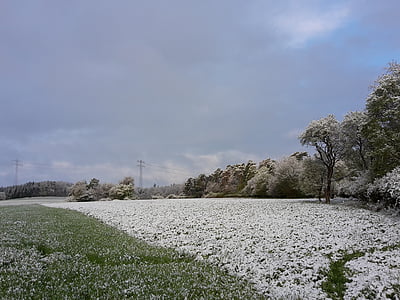 เมษายน, หิมะ, ธรรมชาติ, ทุ่งหญ้า, สภาพอากาศเดือนเมษายน