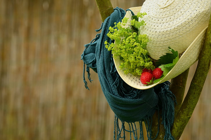 chapéu, Verão, chapéu de palha, cachecol, morangos, frauenmantel, decoração