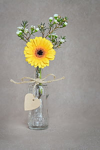 Blume, Gerbera, gelb, Blüte, Bloom, gelbe Blume, Frangipani