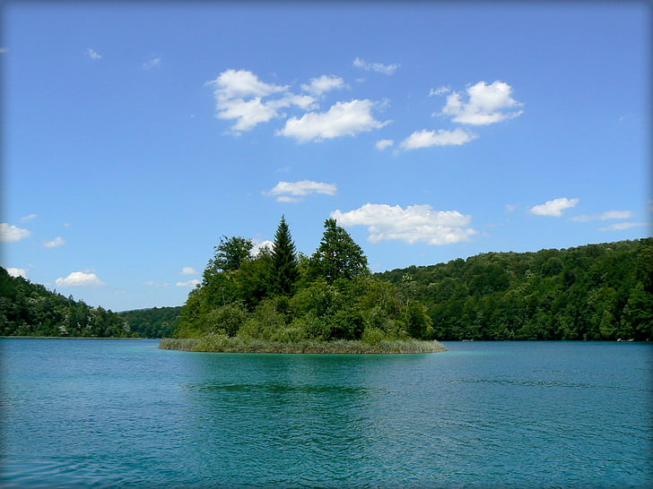 island, trees, lake, water, sea, forest, woods