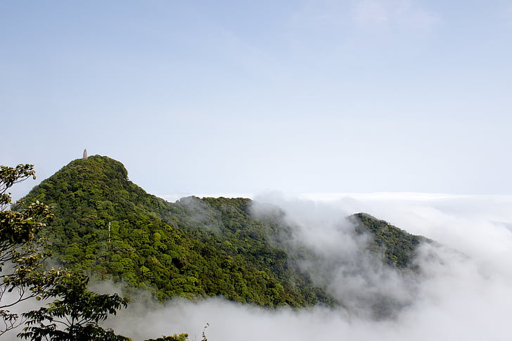ročník, klasické, staré, Příroda, Hora, mlha, Scenics