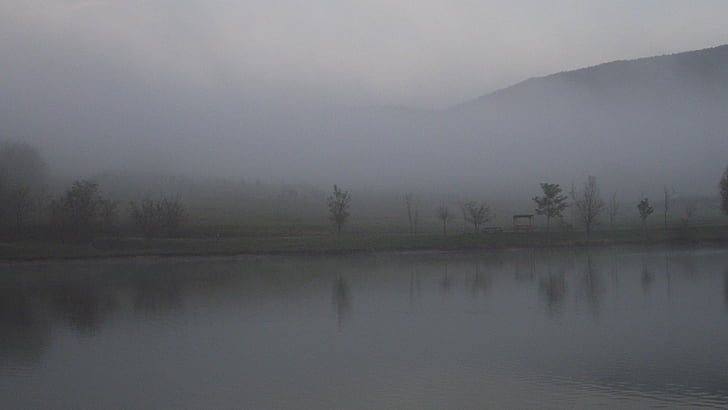 fog, landscape, nature