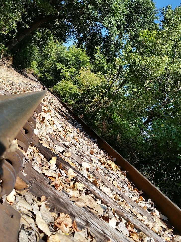 train, railroad tracks, train tracks