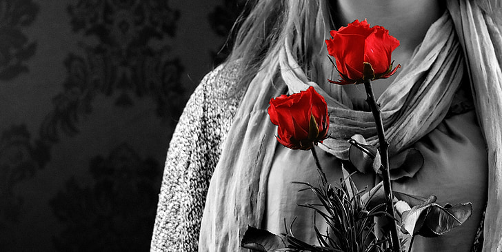 Flicka, rosor, röd, gåva, Alla hjärtans dag, Kärlek, romantiska