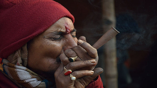 Bhang, μαριχουάνα, Ινδία, Νότια, Ασία, vkj pandey, dev