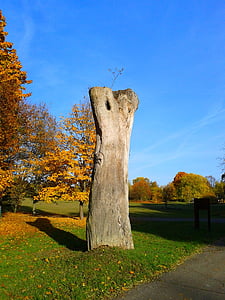 дерево, Природа, Памятник, Парк