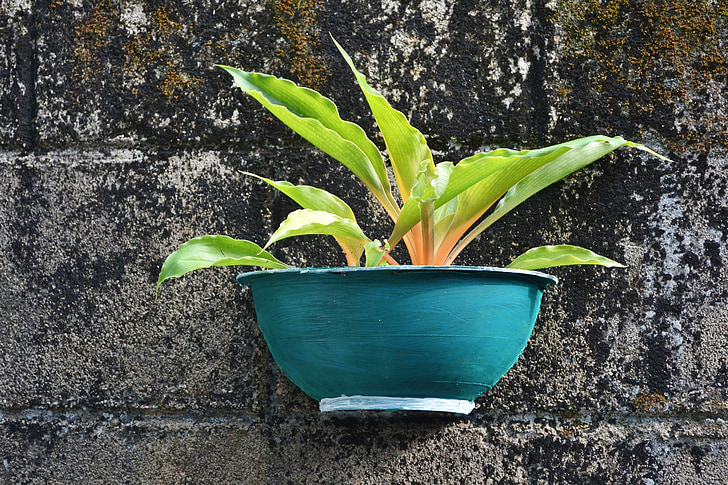 Flower pot, håndlavede pot, hængende pot, cement pot, havearbejde, mawanella, Ceylon