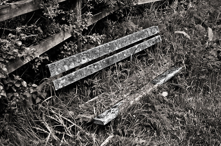 old, bench, wood, architecture, decoration, background, grass