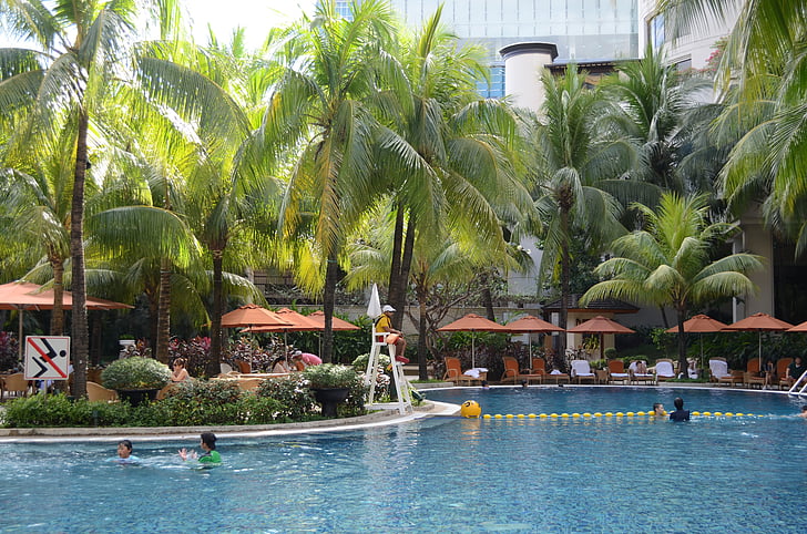 hotel swimming pool, pool, shangri-la hotel, outdoor pool, summer, water, travel