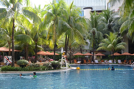 Hotellets pool, pool, Shangri-La hotel, utomhuspool, sommar, vatten, resor