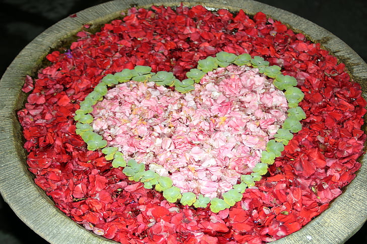hjerte, blomster, Thailand, blomster, kjærlighet, romantisk, rosa