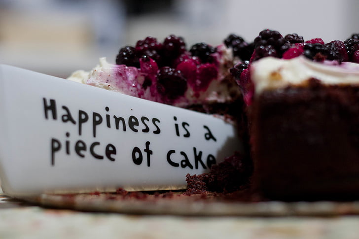 happiness, piece, cake, blueberry, fruit, sweets, dessert