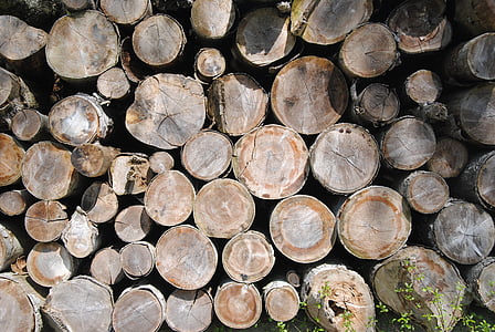 holzstapel, ξύλινα τοίχων, ξύλο, δασοκομία, δομή, κορμοί δέντρων, forstm