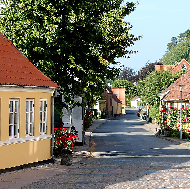 град, къщи, улица, път, Дания, цветя, лято